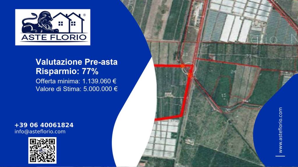 terreno agricolo in vendita a Curinga