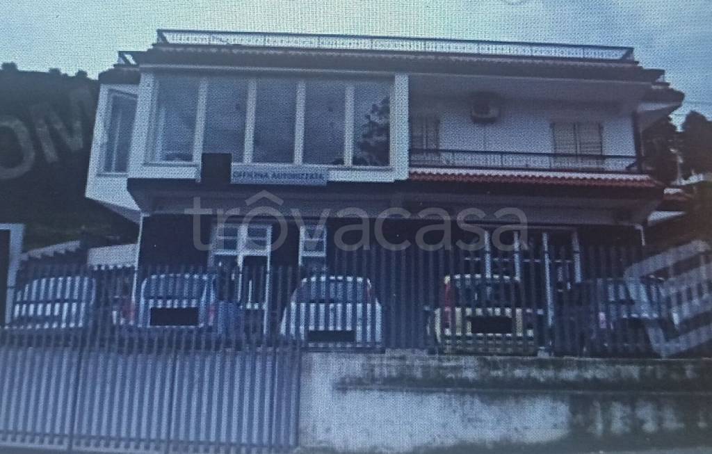 locale commerciale in vendita a Curinga