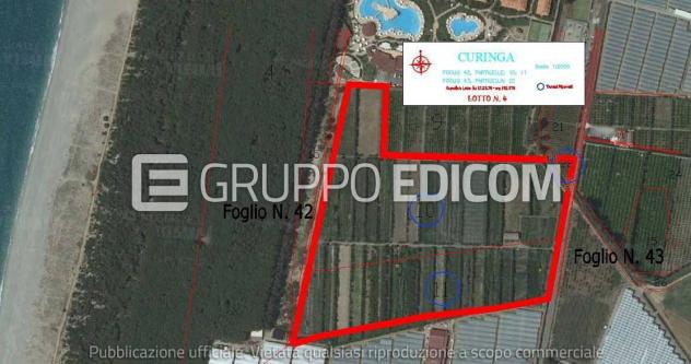 terreno agricolo in vendita a Curinga