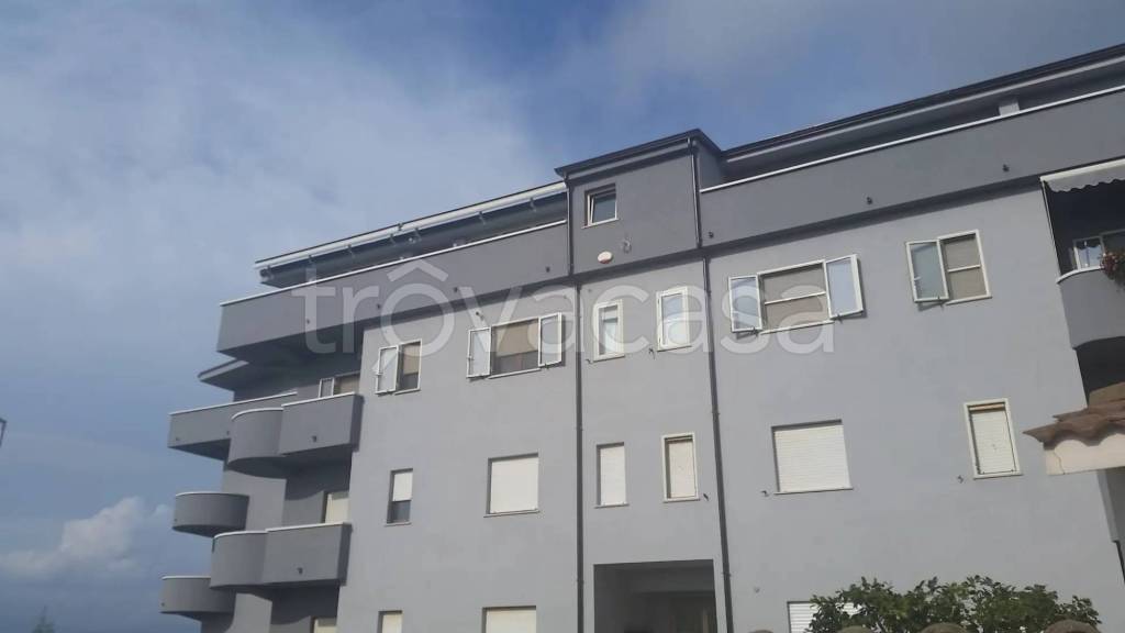 appartamento in vendita a Curinga