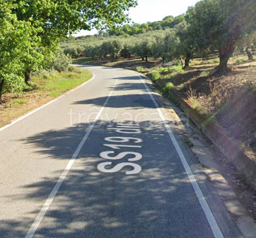 terreno agricolo in vendita a Curinga