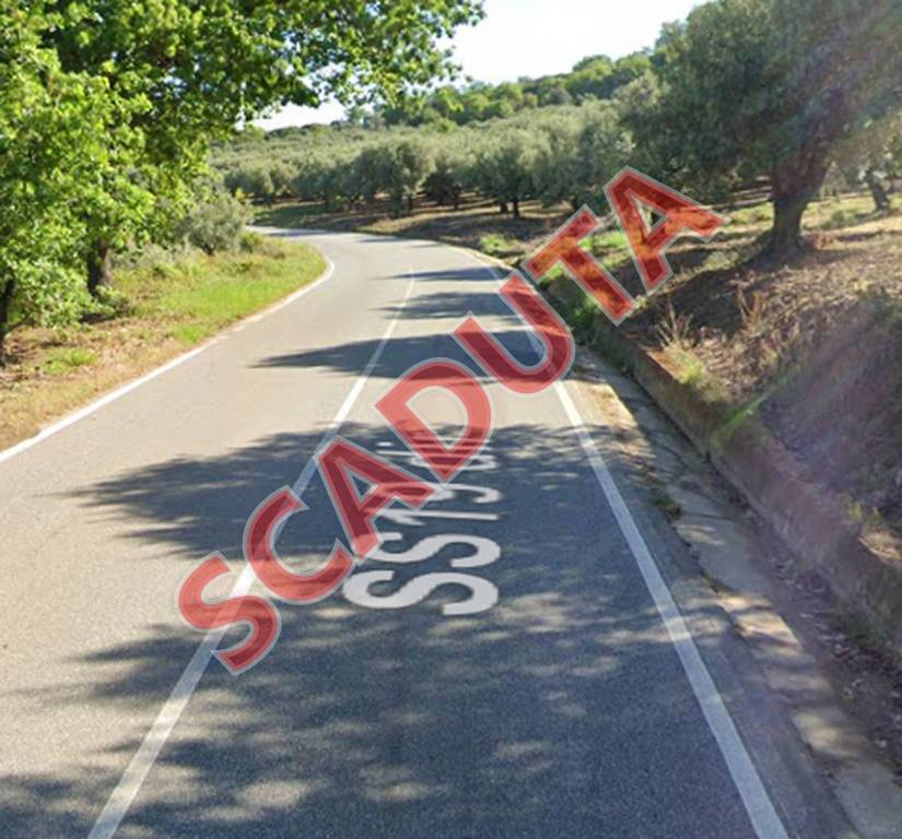 terreno agricolo in vendita a Curinga