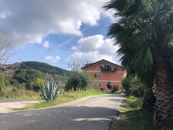 appartamento in vendita a Curinga