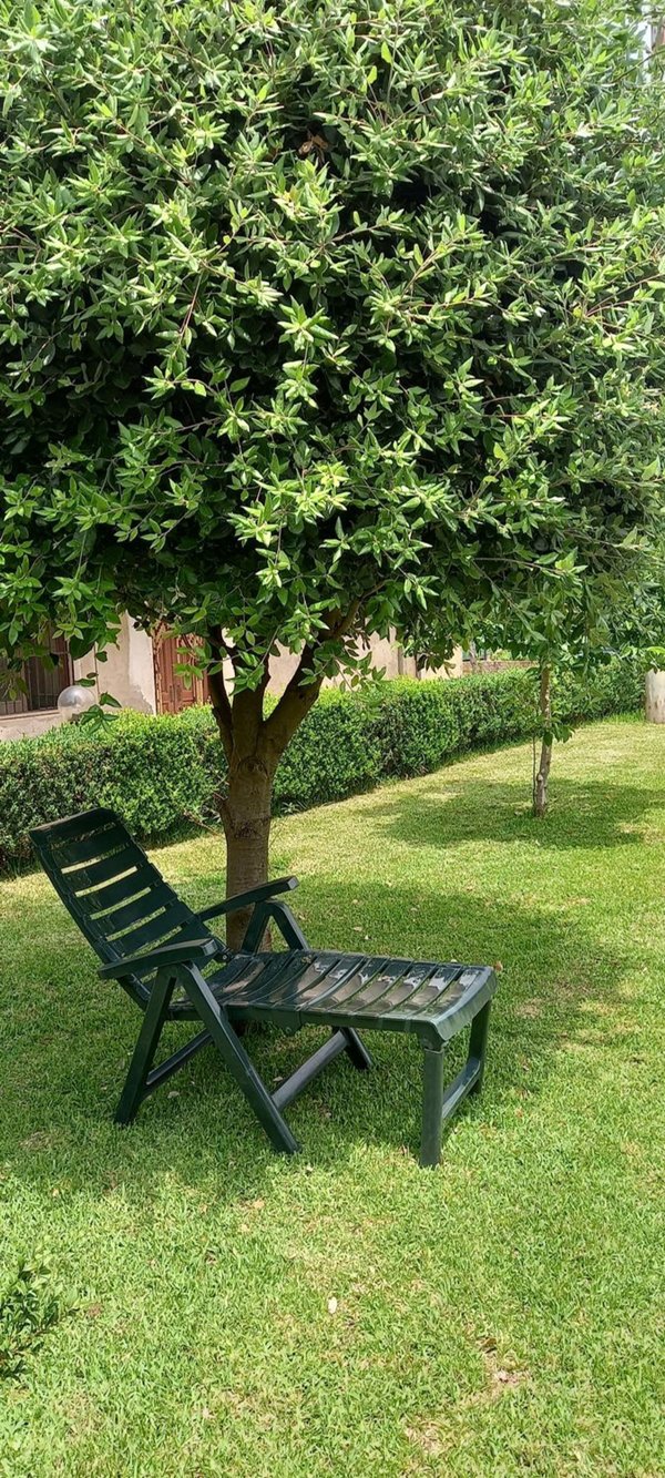 casa indipendente in vendita a Curinga