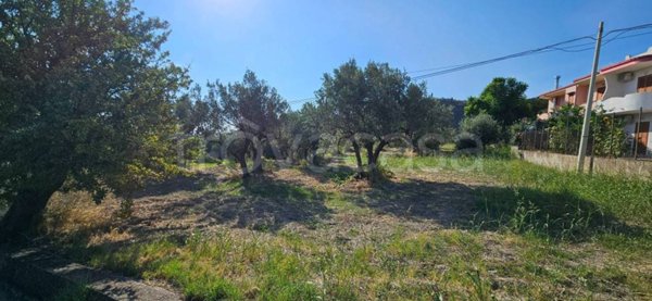 terreno agricolo in vendita a Davoli