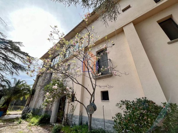 appartamento in vendita a Davoli