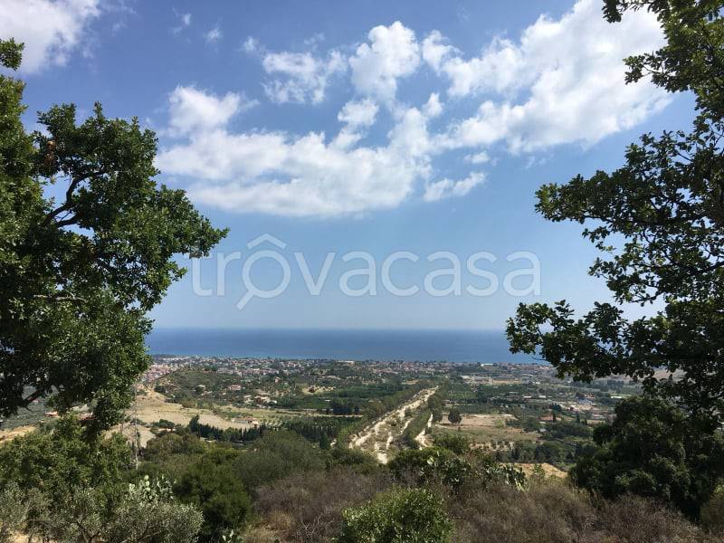 terreno agricolo in vendita a Davoli
