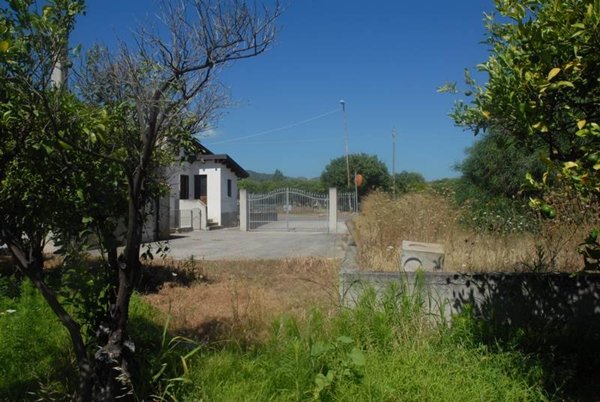 terreno edificabile in vendita a Davoli