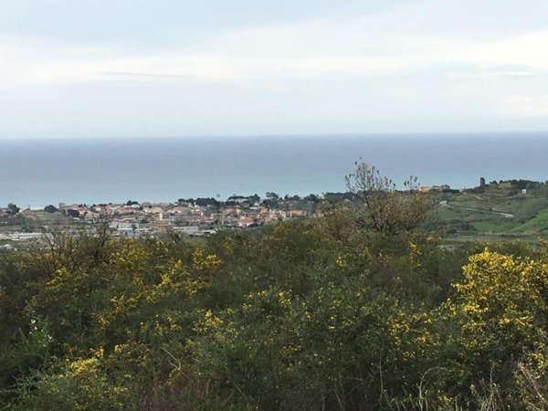 terreno agricolo in vendita a Davoli
