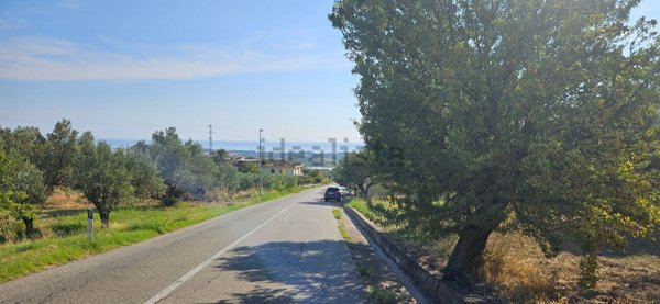 terreno agricolo in vendita a Davoli