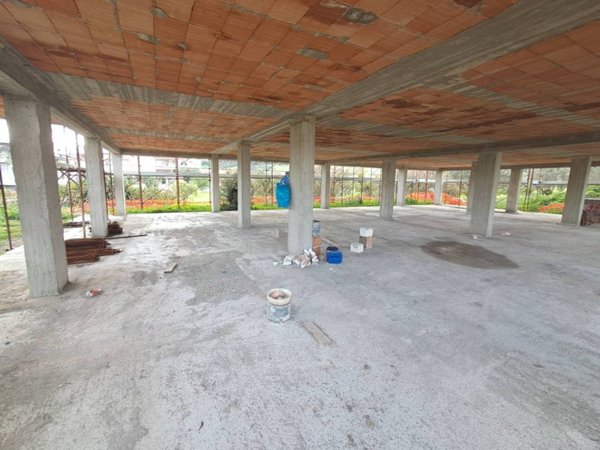 casa indipendente in vendita a Davoli