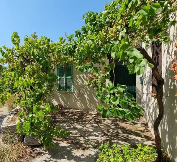 appartamento in vendita a Davoli