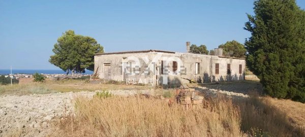 esavano in vendita a Davoli