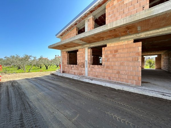 esavano in vendita a Davoli