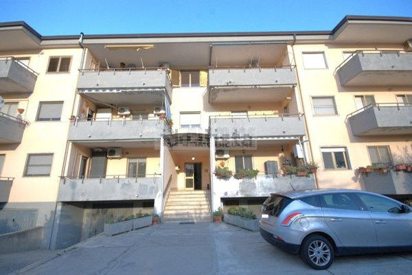 appartamento in vendita a Davoli