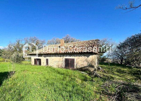 casa indipendente in vendita a Davoli