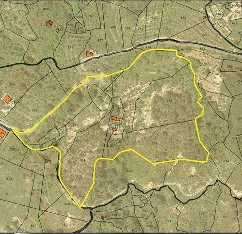 terreno agricolo in vendita a Davoli