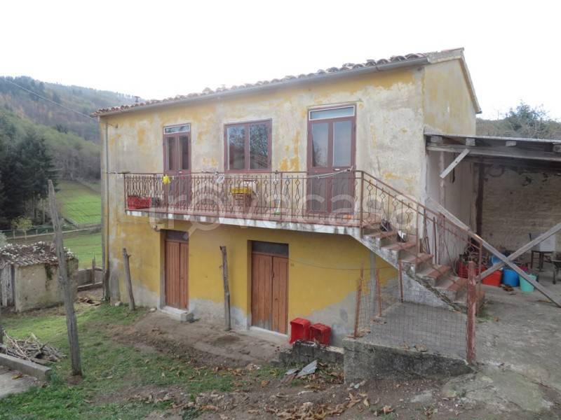 casa indipendente in vendita a Decollatura