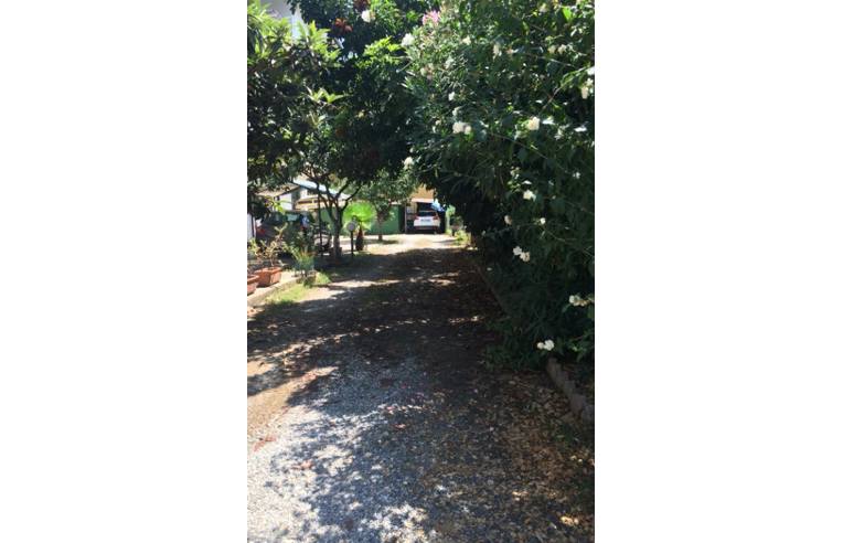 appartamento in vendita a Falerna