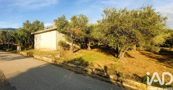 terreno agricolo in vendita a Falerna