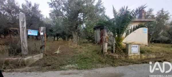 terreno agricolo in vendita a Falerna