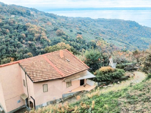 casa indipendente in vendita a Falerna