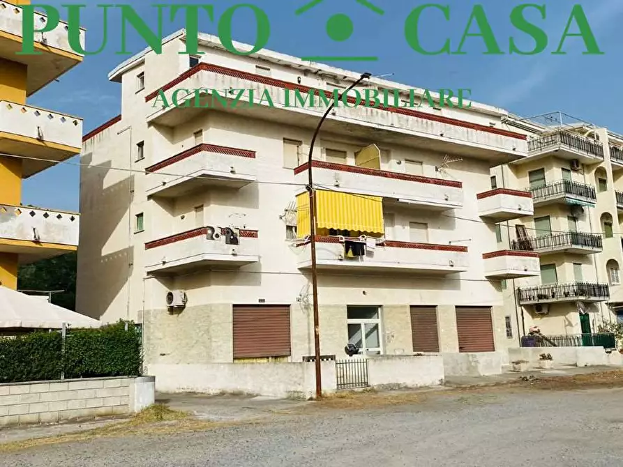 appartamento in vendita a Falerna