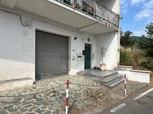 appartamento in vendita a Falerna