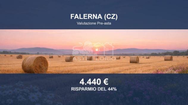 terreno agricolo in vendita a Falerna