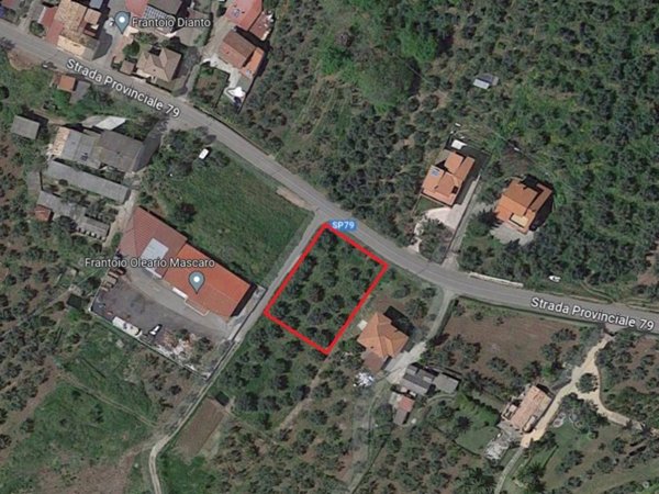 terreno agricolo in vendita a Feroleto Antico