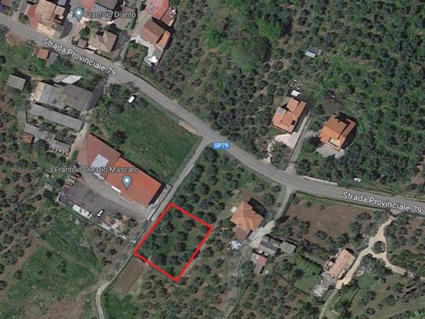 terreno agricolo in vendita a Feroleto Antico