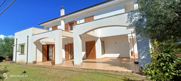 casa indipendente in vendita a Feroleto Antico