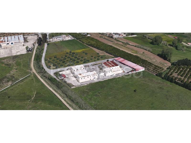 ufficio in vendita a Feroleto Antico