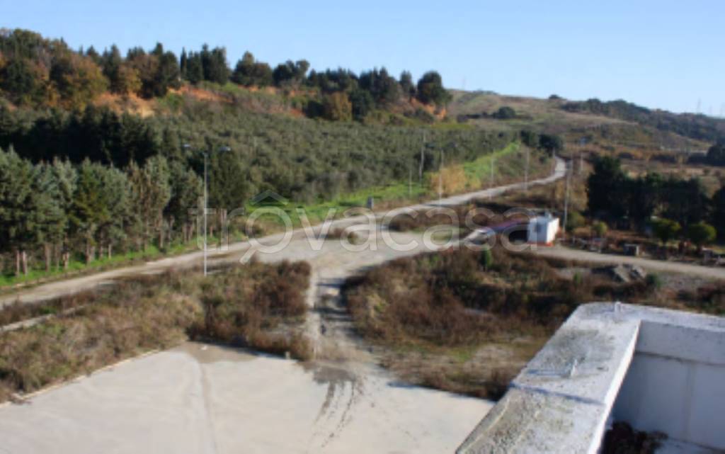 terreno agricolo in vendita a Feroleto Antico