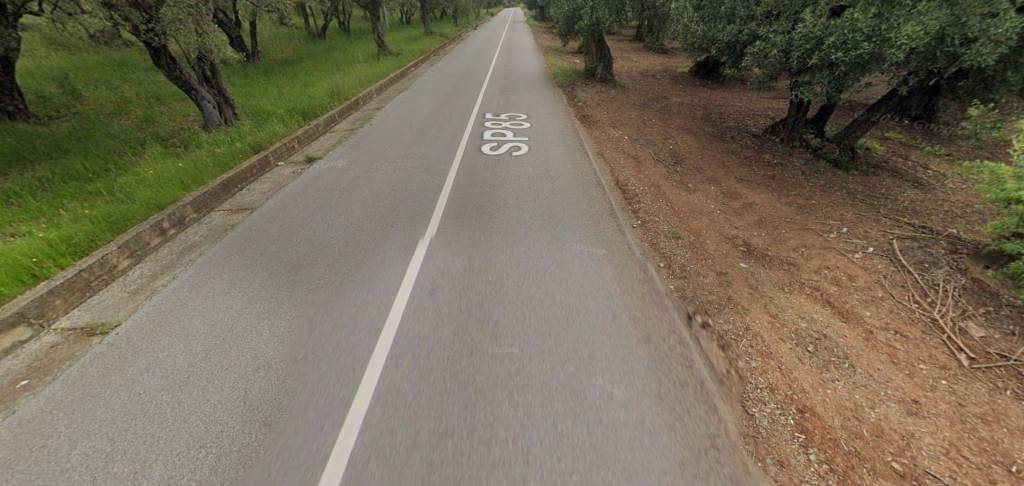 terreno agricolo in vendita a Feroleto Antico