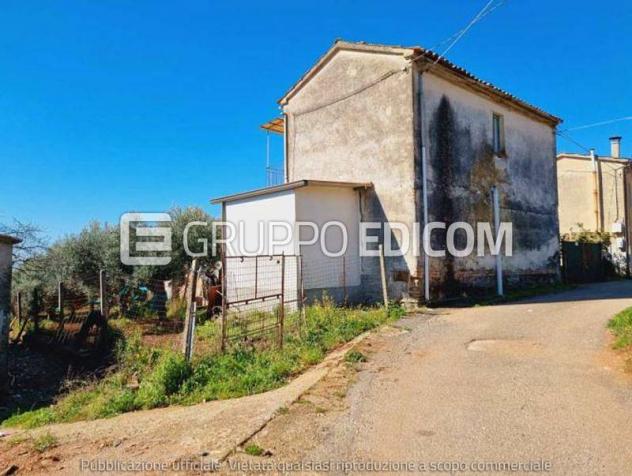 terreno agricolo in vendita a Feroleto Antico