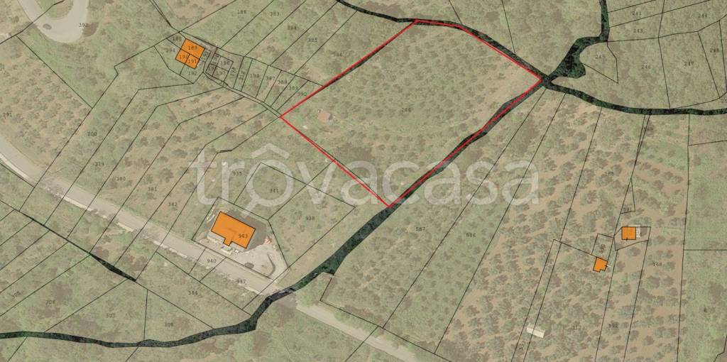 terreno agricolo in vendita a Feroleto Antico