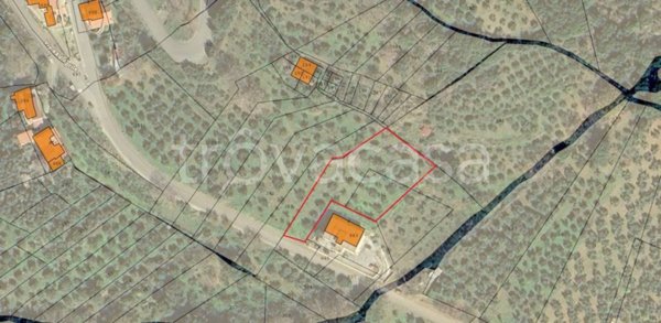 terreno agricolo in vendita a Feroleto Antico