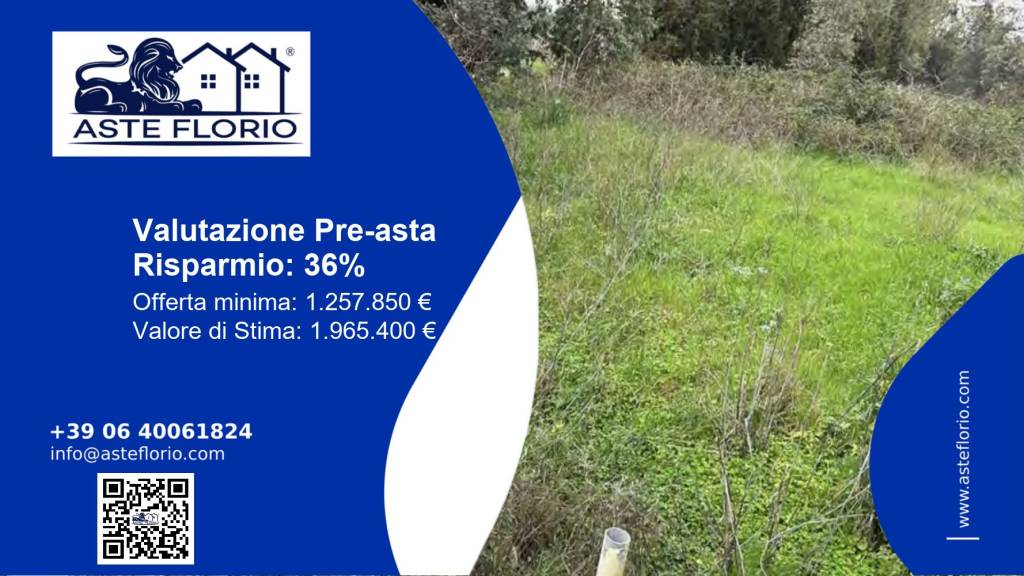 terreno agricolo in vendita a Feroleto Antico