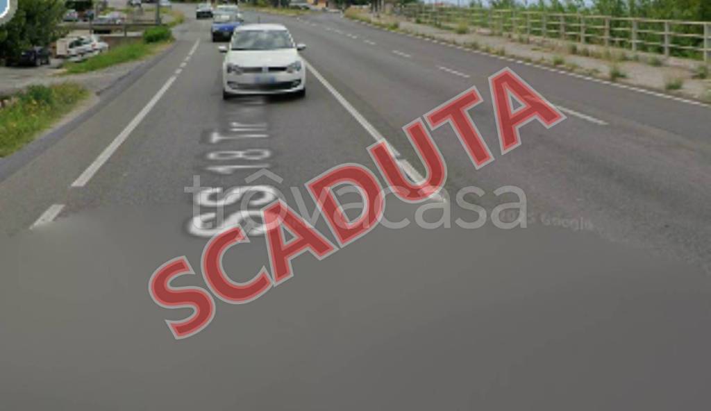 terreno agricolo in vendita a Feroleto Antico