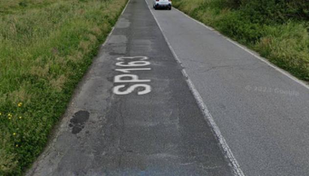 terreno agricolo in vendita a Feroleto Antico
