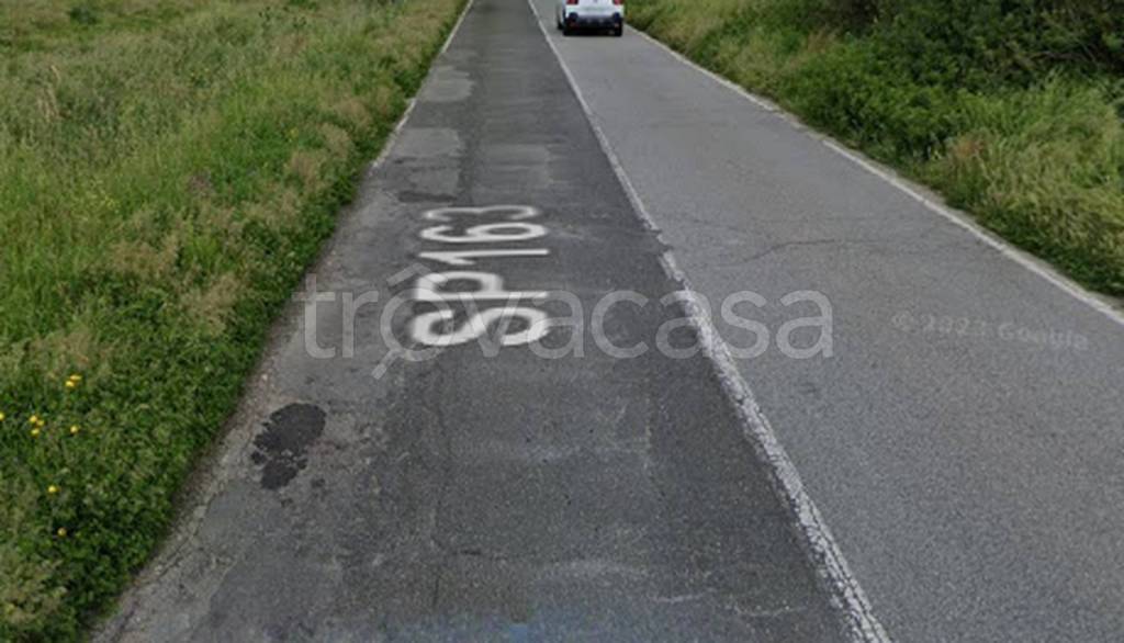 terreno agricolo in vendita a Feroleto Antico