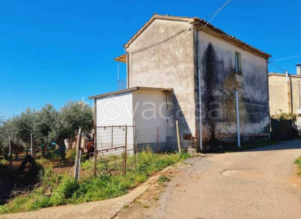 appartamento in vendita a Feroleto Antico