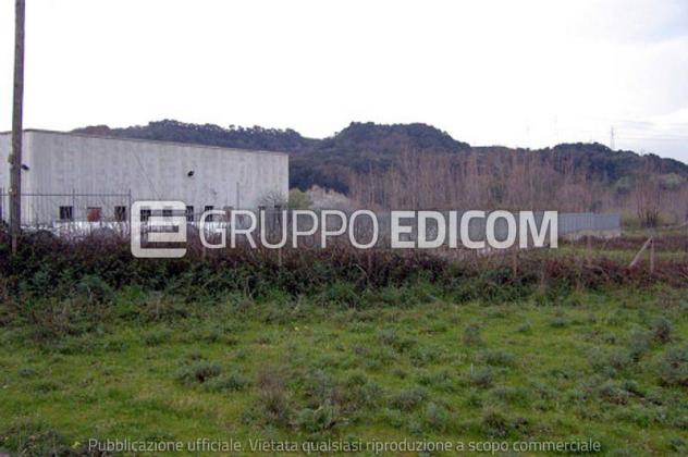 terreno agricolo in vendita a Feroleto Antico