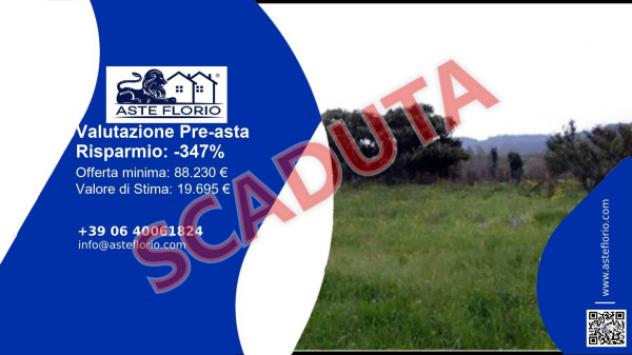 terreno edificabile in vendita a Feroleto Antico