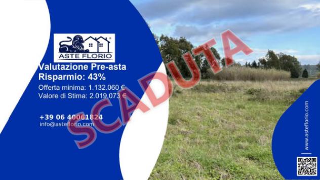 terreno agricolo in vendita a Feroleto Antico