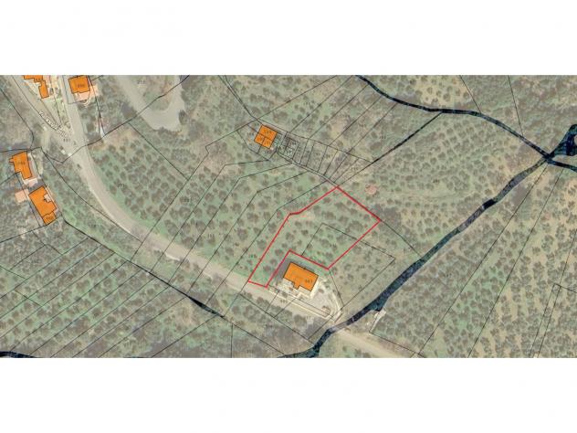 terreno agricolo in vendita a Feroleto Antico