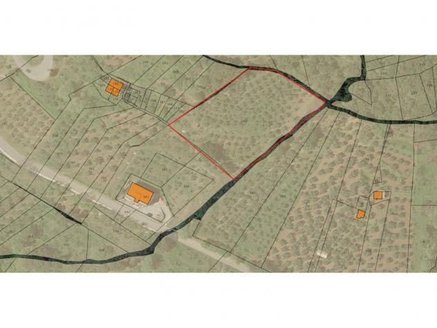 terreno agricolo in vendita a Feroleto Antico