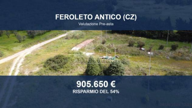 terreno agricolo in vendita a Feroleto Antico