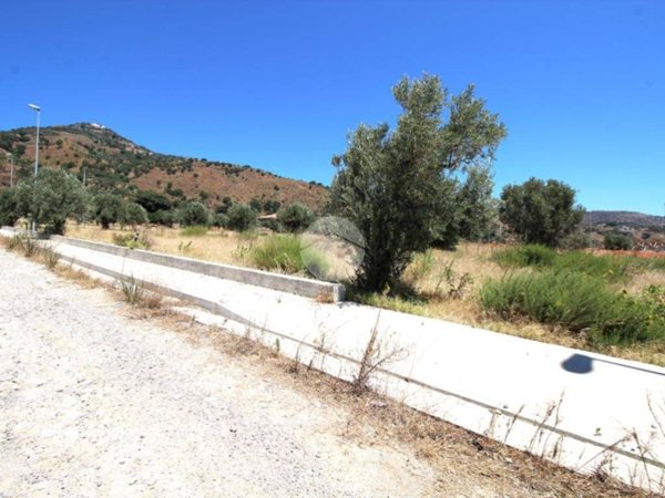 terreno agricolo in vendita a Gasperina